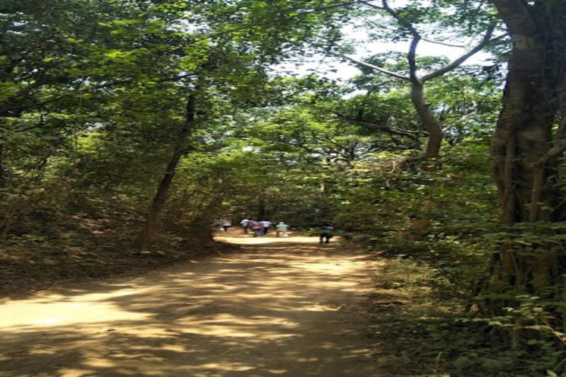 Nikhara Estate Resorts Kodlipet Bagian luar foto